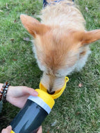 Dog Travel Water Bottle 2 in 1 Leakproof Portable Pet Bottle for Walking